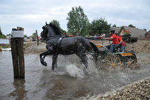 Horse-drawn carriage competition in the Skansen