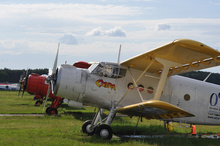Aeroklub in Przylep